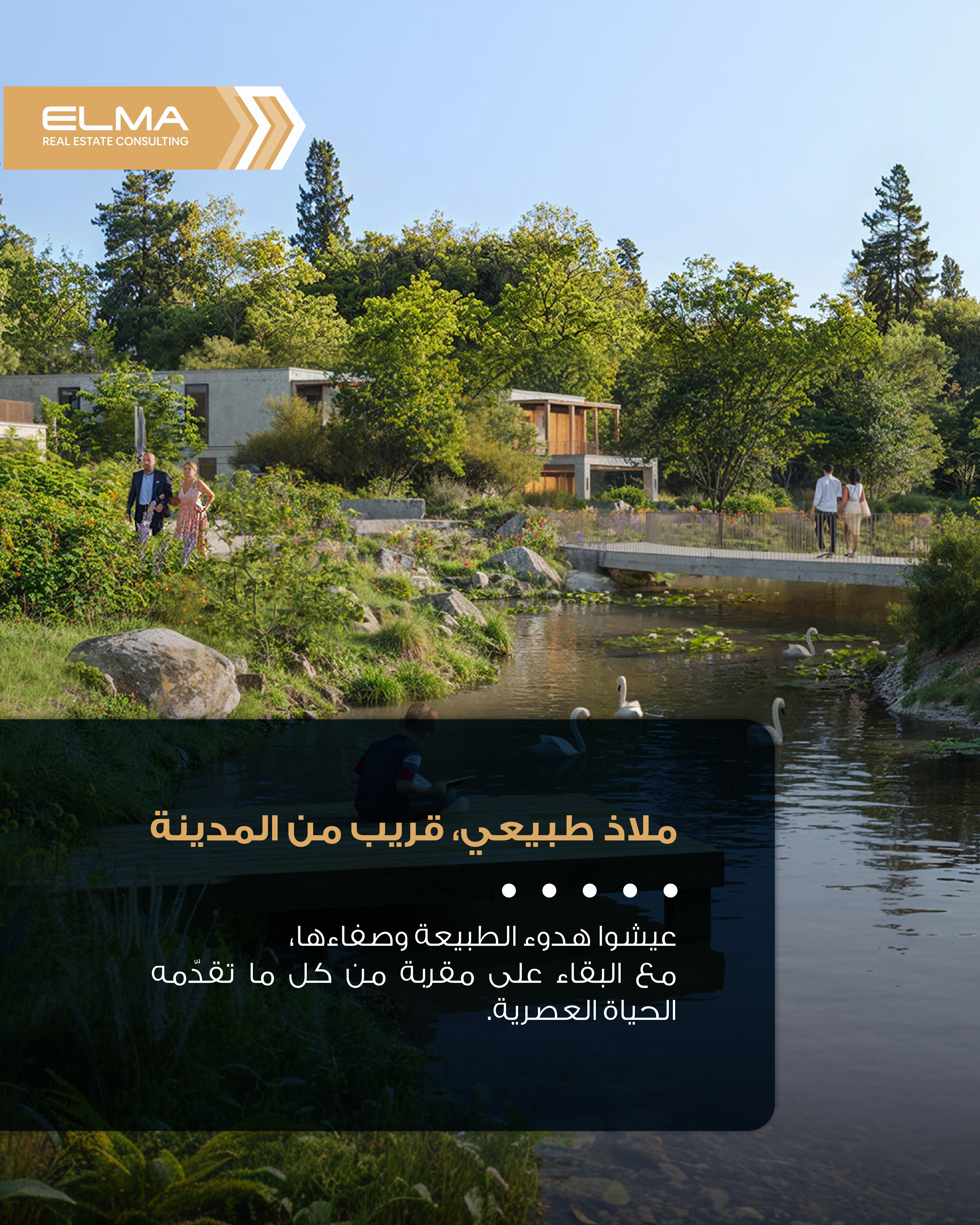 طبيعة المشروع